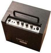Combo tranzystorowy Ibanez IBZ10GV2