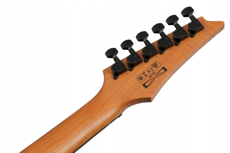 Gitara elektryczna Ibanez Superstrat GRGR221FA-TDK + GRATISY!!!