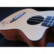 Ukulele koncertowe Ortega RU5CE