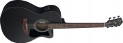 Gitara elektroakustyczna Ibanez VC44CE-WK + GRATIS KOSTKI!