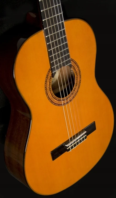Gitara klasyczna Washburn C 5 N 4/4 + GRATIS tuner i kostki!