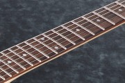 Gitara elektryczna Ibanez RG420 HPFM ALG+Gratisy