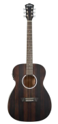 Screenshot 2026-05-11 at 14-03-25 Washburn DF EFE - gitara elektroakustyczna - Ceny i opinie - Ceneo.pl.png