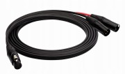 Red's Music AU3103 kabel audio xlrf - 2xlrm 30 cm!