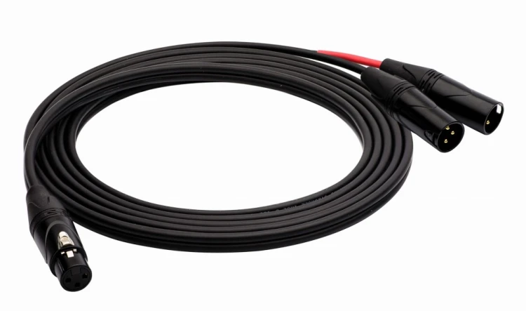 Red's Music AU3103 kabel audio xlrf - 2xlrm 30 cm!