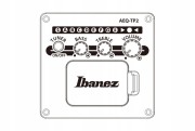 Ibanez AAM100E-NT- gitara elektroakustyczna + Gratis kostki!
